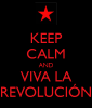 2keep-calm-and-viva-la-revolución-8.png