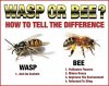 left-wings-vs-right-wings-wasp-or-bee.jpg