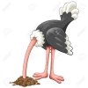 88670235-ostrich-head-in-sand-proverb-cartoon-character.jpg