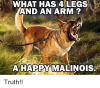what-has-4-legs-and-an-arm-a-happy-malinois-7882181.png