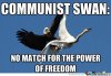 Meme Communist Swan.jpg