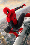 Spider-Man_FFH_Profile.jpg