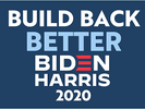 Biden build back 2.png