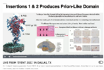S1 & S2 Produces Prion Like Domain.png