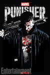 The_Punisher_poster.jpg