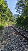 Tracks along the French Broad River.jpg