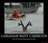 canadian-navy-caribous-canadian-military-demotivational-poster-1254153662.jpg