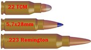 Cartridges from top to bottom - 22 TCM _ 5.7x28 mm FN and .223 Rem a.jpg