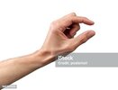 human-hand.jpg