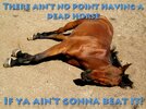 Meme Dead Horse Purpose.jpg