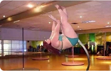 fat stripper pole dance.png
