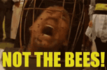not-the-bees.gif