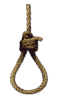 User-Completed-Image-Tie-a-Noose-2017.01.05-18.21.58.0.png